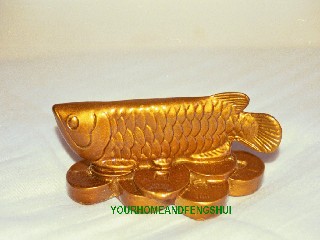 YourHomeAndFengShui - Arrowan Fish